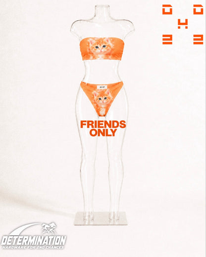 DH2 Sunset Kitty Tabby Bandeau Set